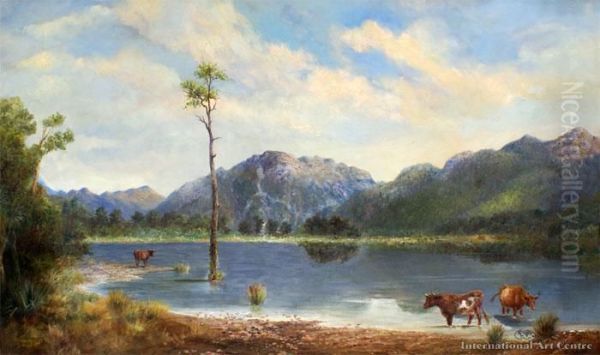 Lake Poerua - view 1