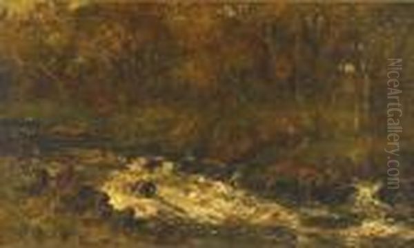 Dark Rolling Dee - view 1