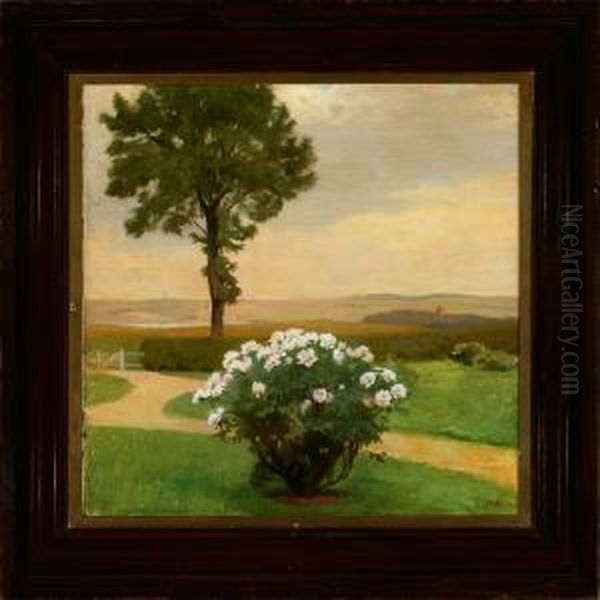 Evening Garden Scenery With A View To The Open Landscape - view 1