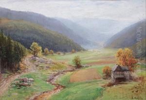 Blick In Ein Sonnenbeschienenes Tal
