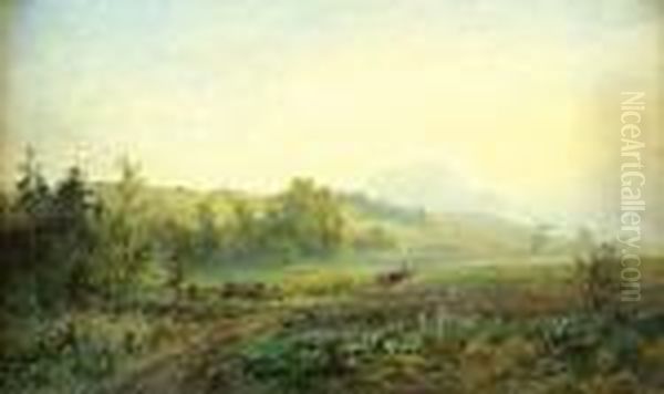 Krajina - Zpole - view 1