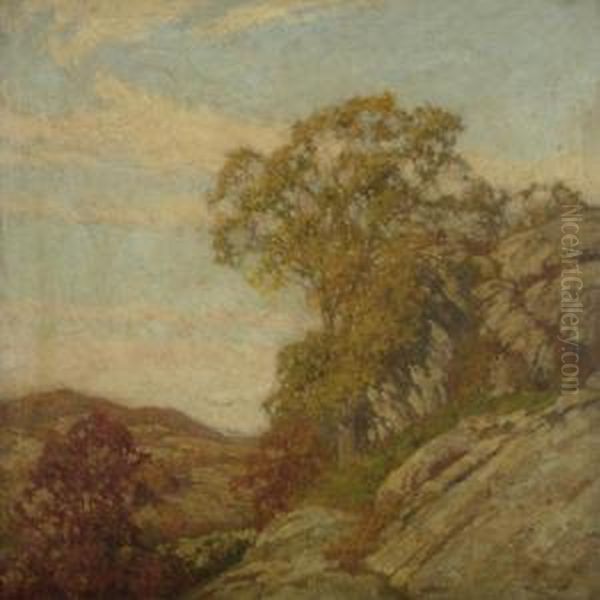 Mountain Landscape In The Fall - view 1