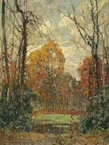Pool In The Woods