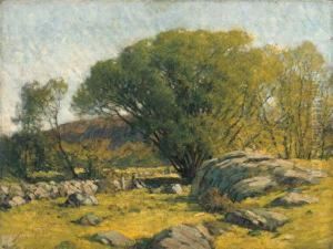 Cape Ann Pastureland
