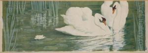 Two Swans by Alfredo Muller