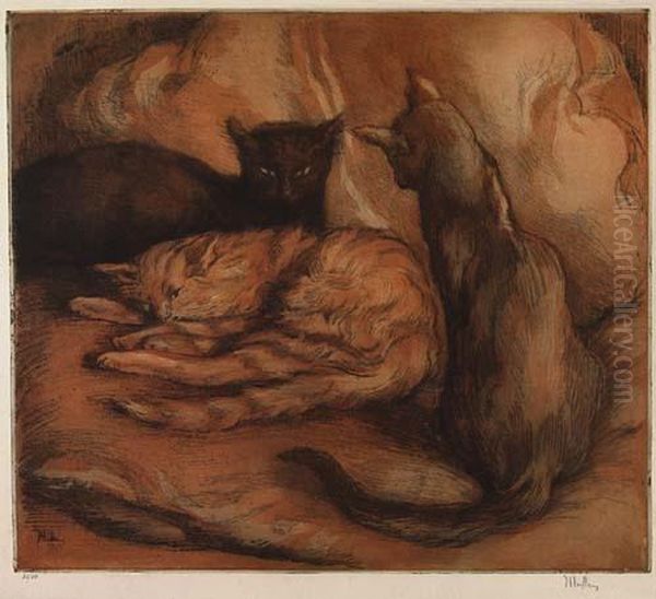 Les Trois Chats - view 1