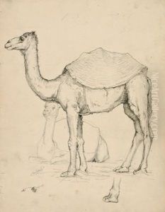 Studie Von Zwei Kamelen by Leopold Carl Muller