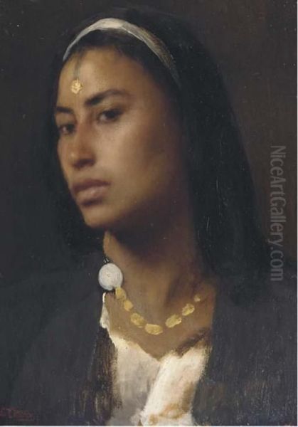 An Exotic Beauty - view 1