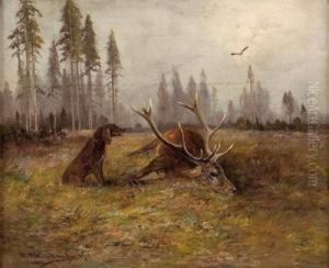 Jagdhund Vor Erlegtem Hirsch