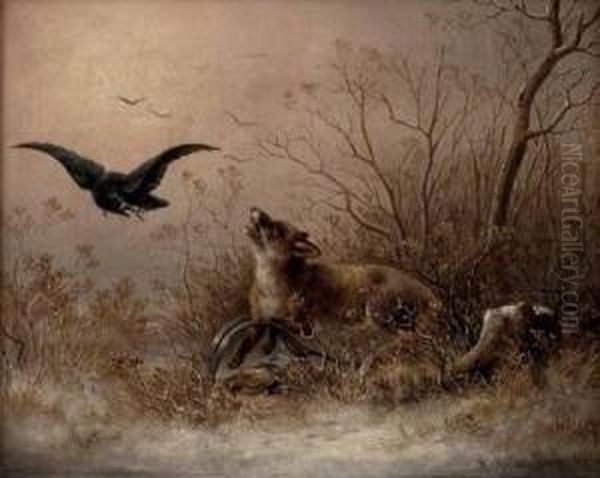 Fuchs Im Eisen, Bedroht Von Raubvogel - view 1
