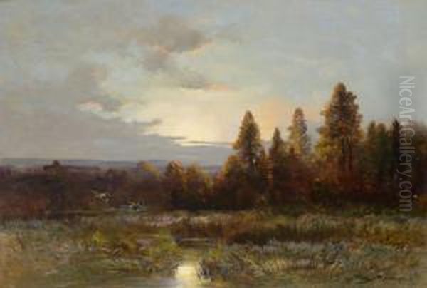 Enten In Aulandschaft Bei Morgendammerung - view 1