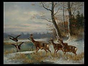 Rehe Und Enten Vor Waldlichtung Rehe Und Enten Vor Waldlichtung