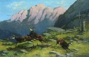 Gamsjagd Im Hochgebirge. Gamsjagd Im Hochgebirge.