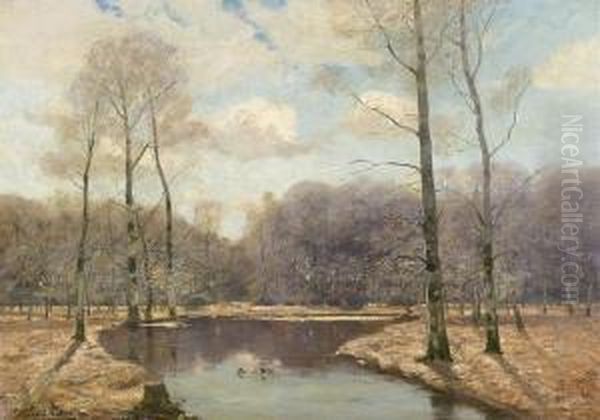 Herbstliche Waldlandschaft. - view 1