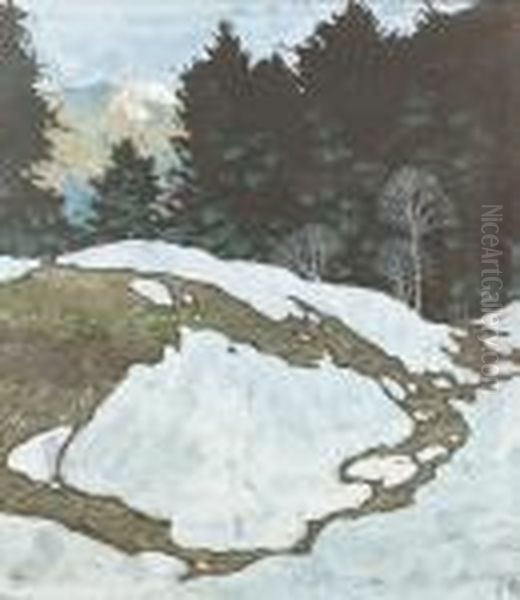 Sonnige Berglandschaft Im Vorfruhling. - view 1