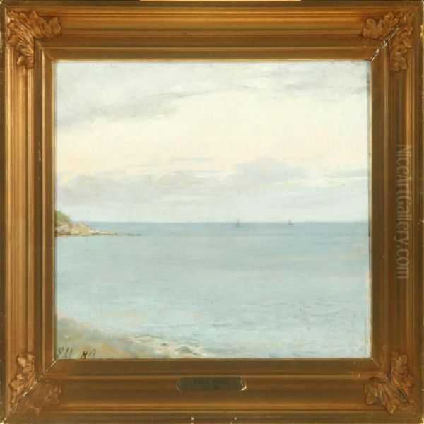 Coastal Scenery - view 1