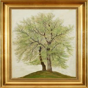 Beech Threes In Leaf At Springtime. Signed E. Mundt, Maj 1903 by Emilie Mundt