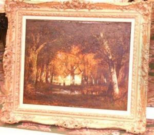 Forest Of Fontainbleau - view 1