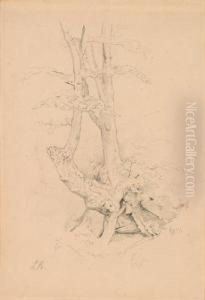 Konvolut Hundert Blatt Zeichnungen by Leopold Munsch