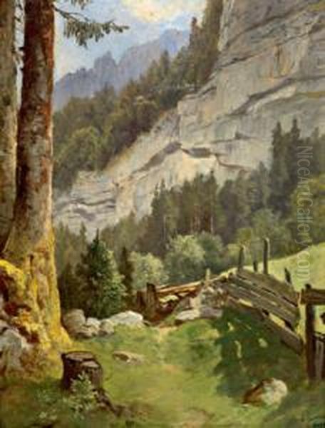 Im Echernthal Bei Hallstatt - view 1
