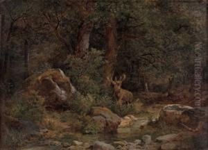 Hirsch Am Waldbach by Leopold Munsch