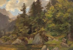 Forest Landscape Forest Landscape