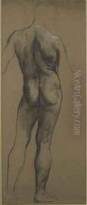 Male Nude Study