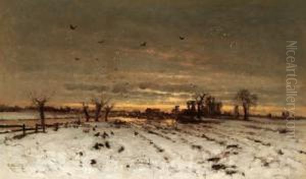 Sonnenuntergang In Weiter Landschaft - view 1