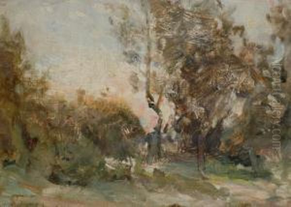 Parklands - view 1