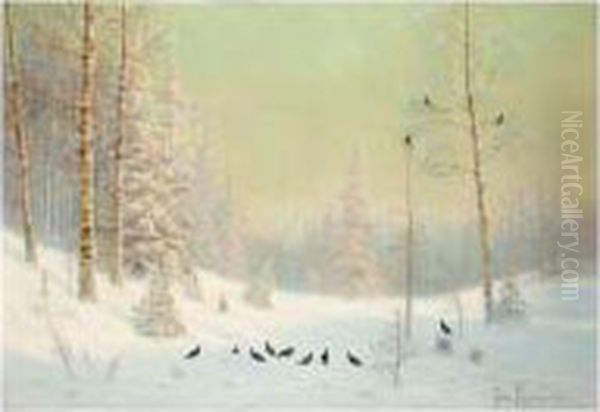 Capercaillie In Winter - view 1