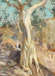 California Cypress by Hermann Dudley Murphy