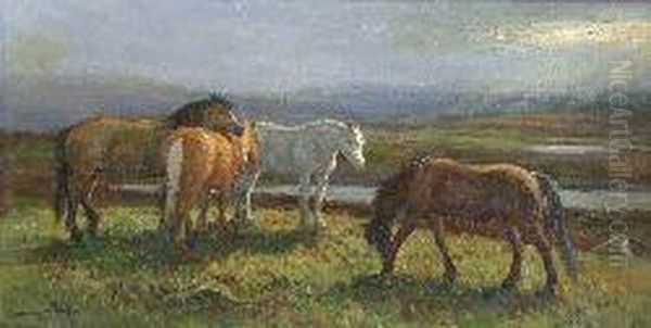 Moorland Ponies - view 1