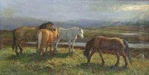 Moorland Ponies