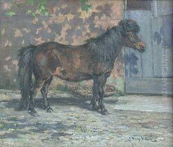 Study Of A Shetland Pony Sybil - view 1