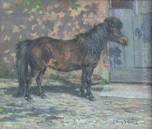 Study Of A Shetland Pony Sybil by J. Murray