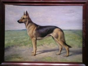 Grand Champion 'anni Von Humboltspark' - A German Shepherd