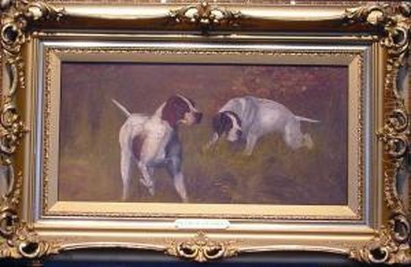 Pointers In A Field - view 1