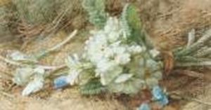 Bunched Primulas