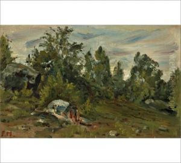 Heathland - view 1