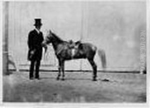 ``bouton D'or, Cheval Du Prince Imperial', Circa 1862 ``bouton D'or, Cheval Du Prince Imperial', Circa 1862