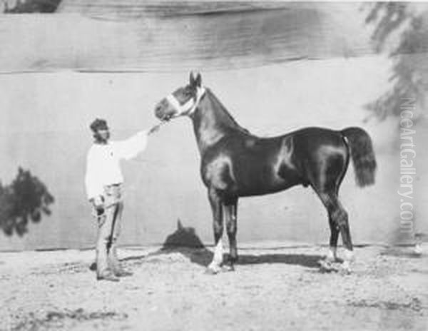 'bois-robert', Circa 1859 - view 1