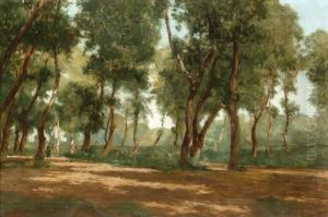 Parkreszlet Parkreszlet