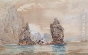 Les Autelets, Sark by Paul Jacob Naftel