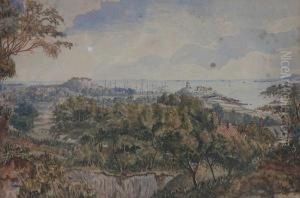 A View Of St.peter Port From The Countryside