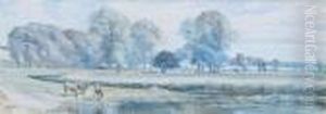 Horses In The Water Meadow by Paul Jacob Naftel