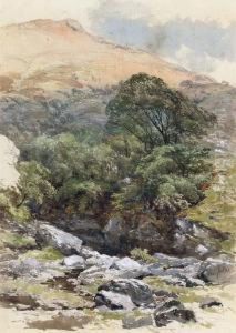 The Still Pool by Paul Jacob Naftel