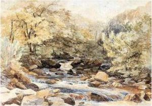A River In A Woodland A River In A Woodland