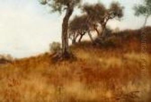 Paesaggio Di Campagna Con Ulivi by Enrico Nardi