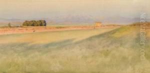 Veduta Della Campagna Romana by Enrico Nardi