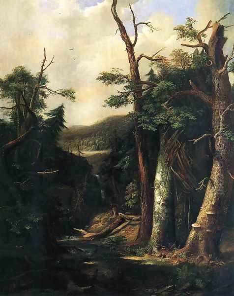 Western Forest - view 1